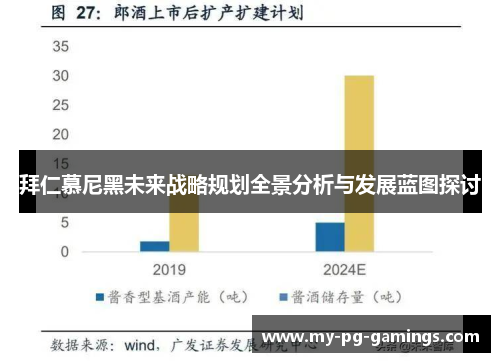 拜仁慕尼黑未来战略规划全景分析与发展蓝图探讨 拜仁慕尼黑未来战略规划全景分析与发展蓝图探讨