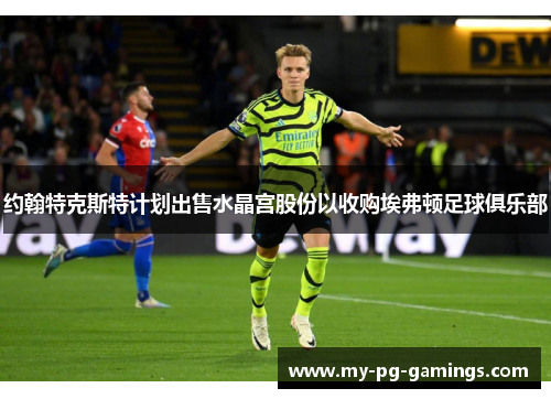 约翰特克斯特计划出售水晶宫股份以收购埃弗顿足球俱乐部 约翰特克斯特计划出售水晶宫股份以收购埃弗顿足球俱乐部