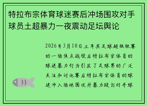 特拉布宗体育球迷赛后冲场围攻对手球员土超暴力一夜震动足坛舆论 特拉布宗体育球迷赛后冲场围攻对手球员土超暴力一夜震动足坛舆论